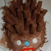 עוגת יום הולדת בצורת קיפוד