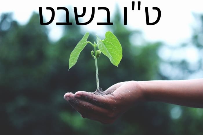 ט"ו בשבט