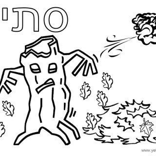 סתיו