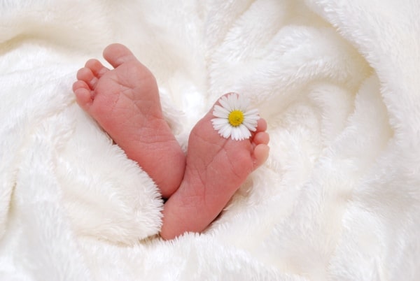 תינוק עם פרח בין האצבעות